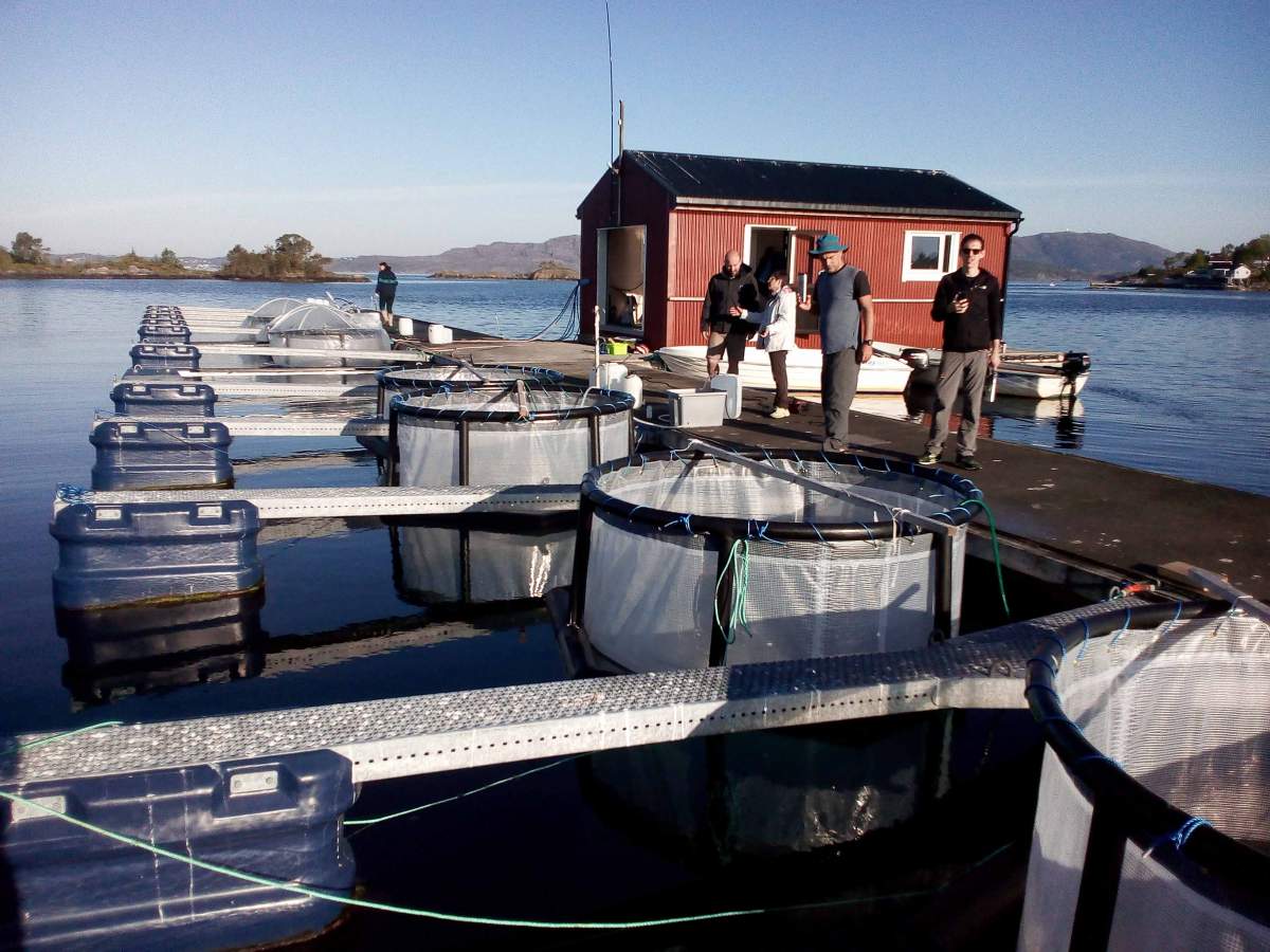 Faire fleurir les fjords : L'équipe de recherche du laboratoire du professeur Assaf Vardi prélève des échantillons en Norvège.
