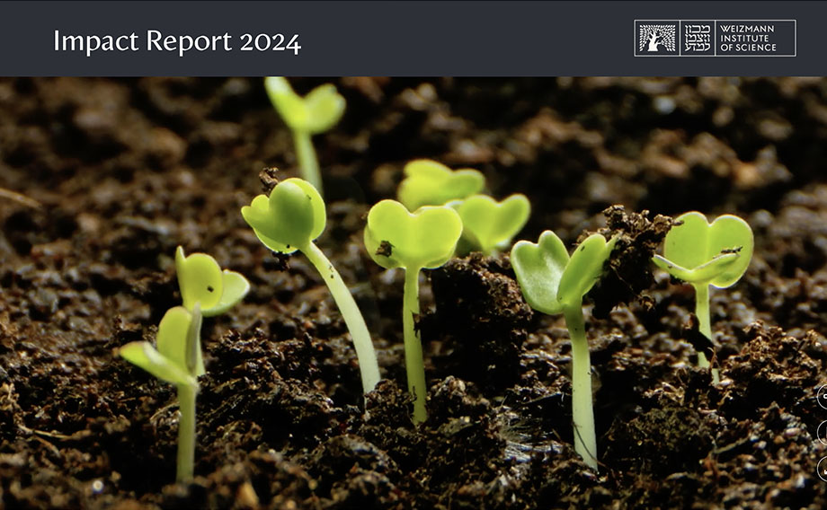 Impact Report 2024 Weizmann