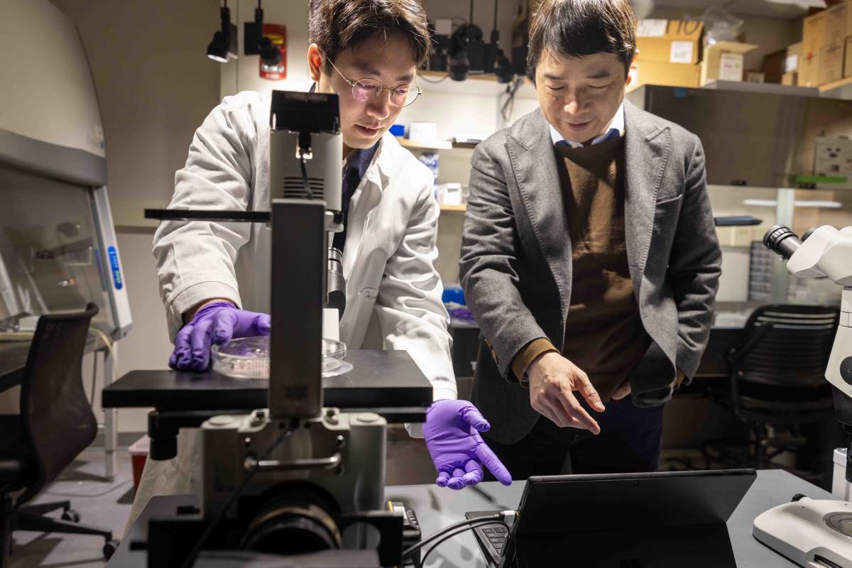 Le professeur Jianping Fu, du Département de Génie Mécanique de l'université du Michigan, dans son laboratoire avec un étudiant en recherche. Photo par Marcin Szczepanski, Michigan Engineering
